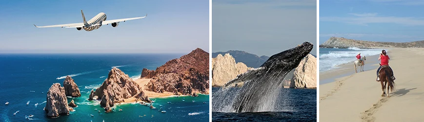 Collage: What to Do in Los Cabos, Mexico